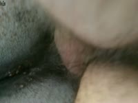 My nice mare